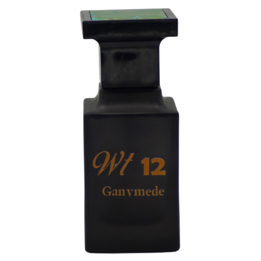 WT12 perfume