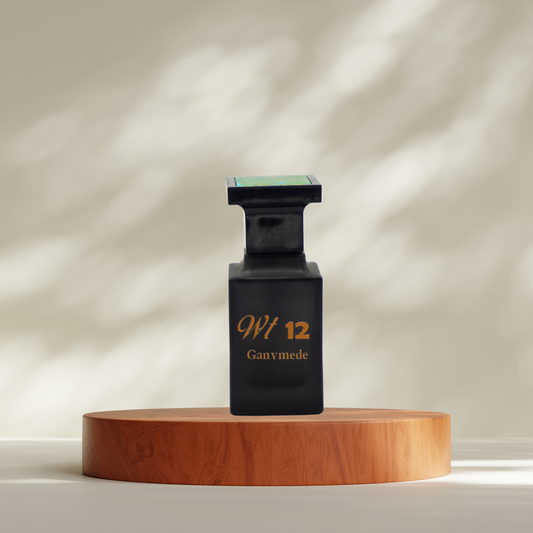 WT12 perfume