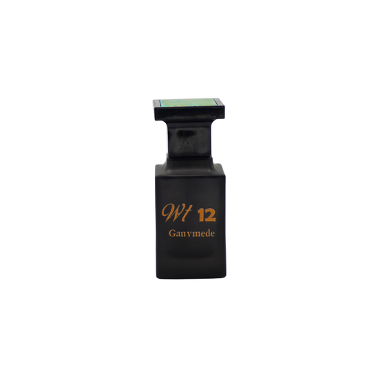 WT12 perfume
